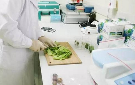食品重金屬檢測儀，關注食品安全，防范重金屬危害